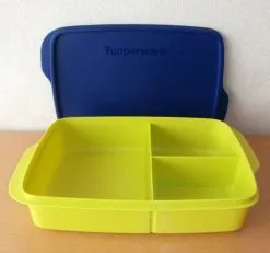 Tupperware® * * Clevere Pause XL * * 1,0 L-Sandwichbox Mit Unterteilung - GRÜN/ BLAU