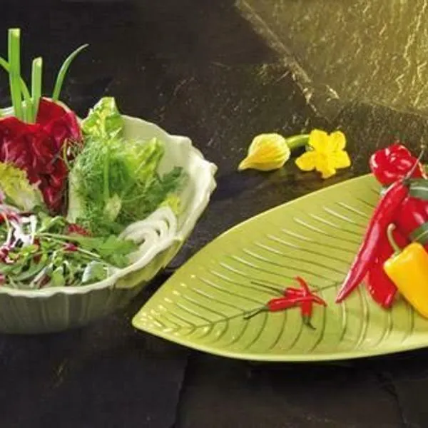 Melamin Blattschale Natural Collection Flach Weiß O Grün 3 Größen Gastlando 2 Melamin Blattschale Natural Collection Flach Weiß O Grün 3 Größen Gastlando – Bild 2