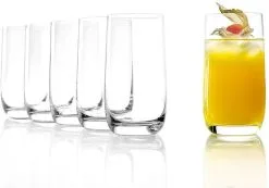 Stölzle Lausitz Saftgläser, Wassergläser Der Serie Weinland 315ml 6er Set Spülmasc...