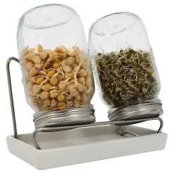 Eschenfelder Sprossenglas System II 1000 Ml Keimglas Schale + Gratis Keimsaat NEU!