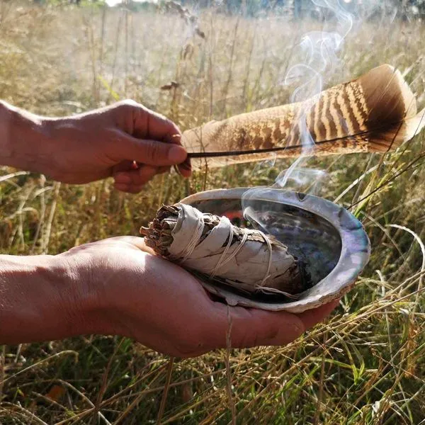 Das Original Native Spirit Doppelpack: 2x Kalifornischer Weißer Salbei Smudge ... 7 Das Original Native Spirit Doppelpack: 2x Kalifornischer Weißer Salbei Smudge ... – Bild 7