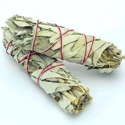 Das Original Native Spirit Doppelpack: 2x Kalifornischer Weißer Salbei Smudge ... 15 Das Original Native Spirit Doppelpack: 2x Kalifornischer Weißer Salbei Smudge ... -Haushalt & Küche Geschäft 484832139