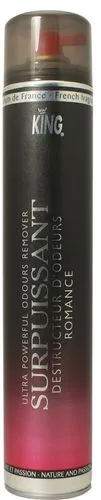 Surpuissant Geruchsvernichter Romance King Air Fresh 750 Ml Aerosol