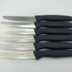 6er Set Giesser Messer Brötchenmesser Tomatenmesser Tafelmesser 11 Cm -19 Farben -Haushalt & Küche Geschäft 561031295