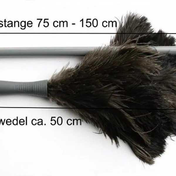 Staubwedel Straußenfedern + Teleskop Staubwischer Staubtuch Staub Bürste Feder 1 Staubwedel Straußenfedern + Teleskop Staubwischer Staubtuch Staub Bürste Feder